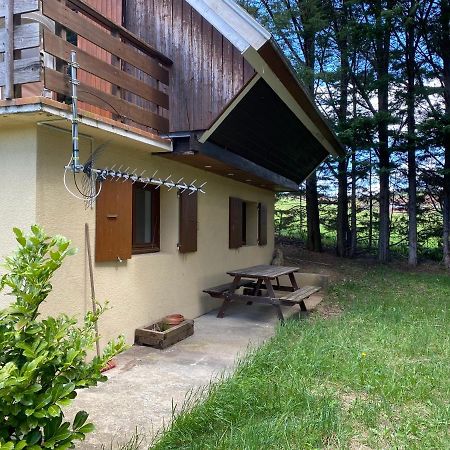 Appartement Dans Le Chalet لاشابيل-ان-فيركور المظهر الخارجي الصورة